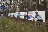 Nielegalne plakaty wyborcze na terenie Poznania. Nadleśnictwo Konstantynowo mówi dość! "Nie wyraziliśmy zgody na umieszczenie banerów"