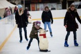 Pomysł na ferie. Co robić w czasie przerwy zimowej w Krakowie?