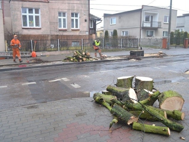 Nikt nie chce przyznać się, że wykonane prace to jego pomysł. A drzew na ul. Dworcowej już nie ma.