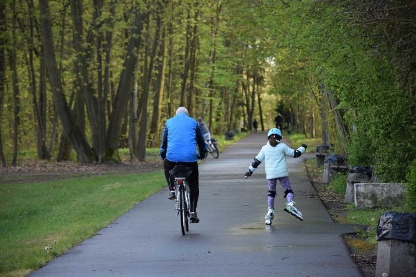 Park Wolności to świetne miejsce dla spacerowiczów, ale...