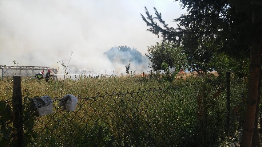 Turystyczna w Lublinie. Pożar łąki. W akcji osiem zastępów straży pożarnej 