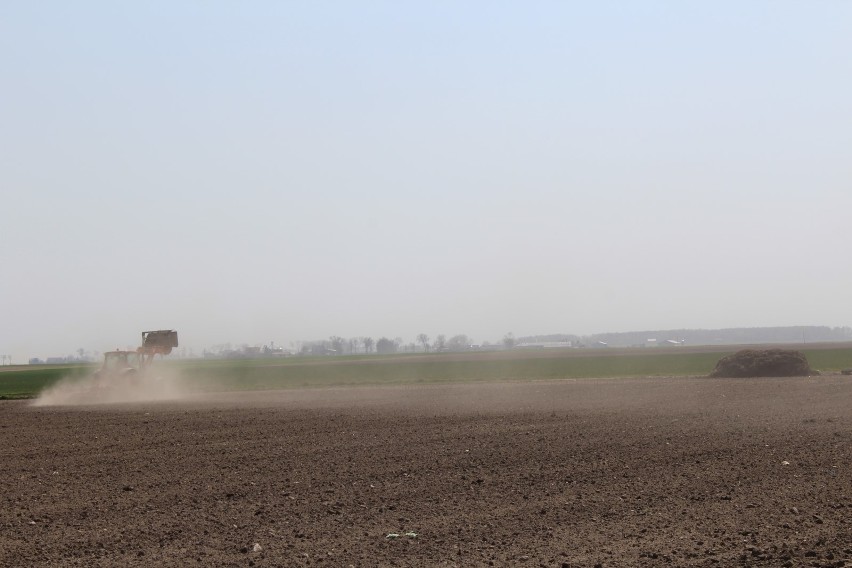 Susza 2019 - Mazowsze. Rolnicy z północnego Mazowsza martwią...