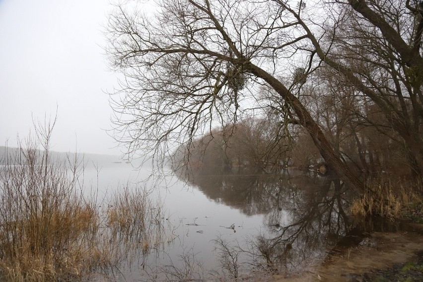 W miejscowości Dąb Mały w powiecie włocławskim znaleziono...