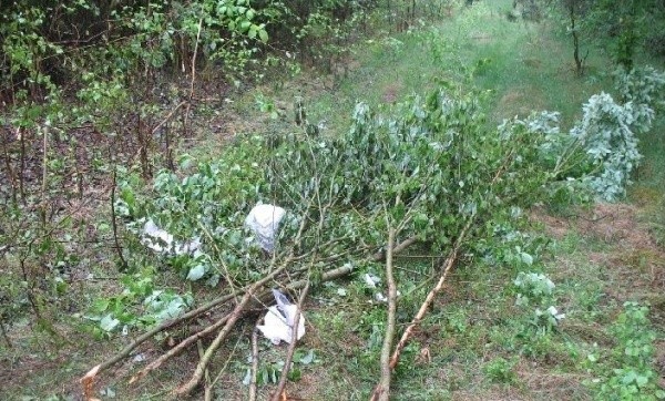 48-latek ukrył w lesie skradzionego lublina.