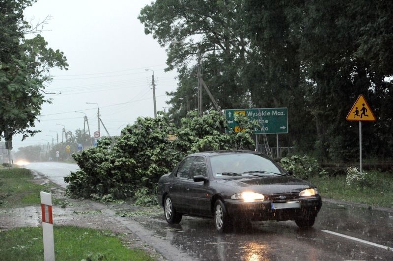 Burze z gradem i wichury łamią drzewa. Pierwszy stopień zagrożenia (zdjęcia)