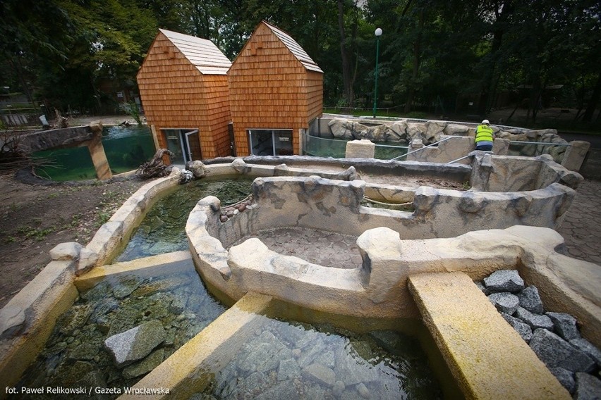 We wrocławskim Odrarium pływają już ryby, w Afrykarium też są pierwsi goście (ZDJĘCIA)