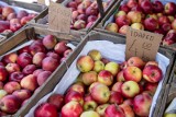 Ceny jabłek w sklepie i na targu spadły. Ile kosztują teraz te owoce, a ile powinny, żeby opłacały się producentom?