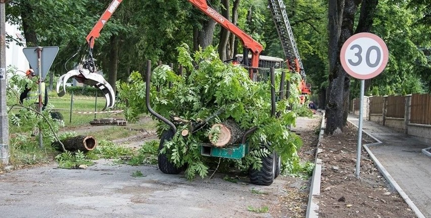 Regionalna Rada Ochrony Przyrody. Niewygodni nie zostali wybrani (zdjęcia)