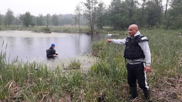 Płetwonurkowie z grupy specjalnej: Wacław Orcholski (z prawej) i Maciej Ciesielski (w wodzie) w tym zbiorniku znaleźli ciało mężczyzny.