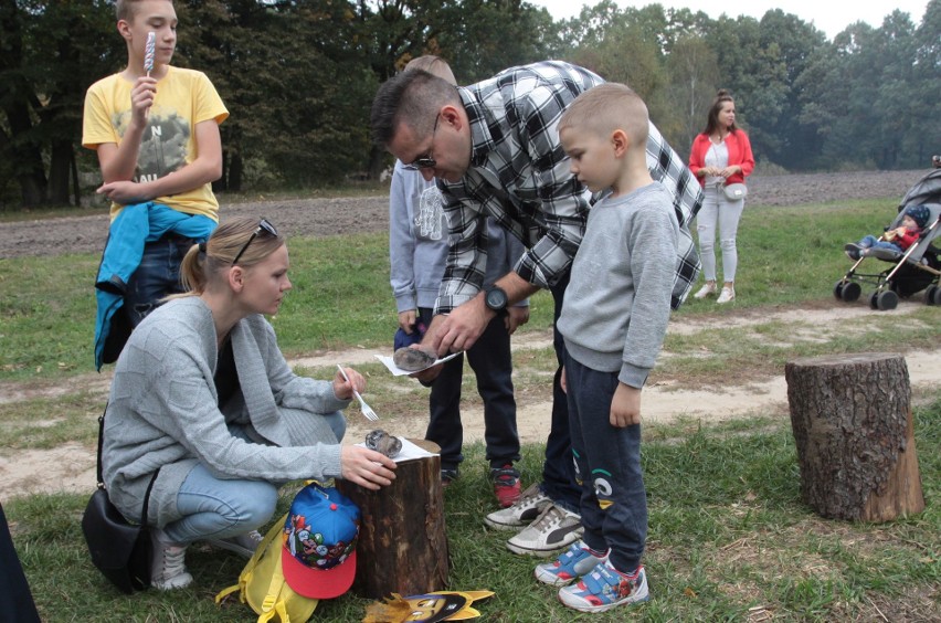 Tłumy smakoszy na Festiwalu Ziemniaka w Muzeum Wsi Radomskiej. Było wiele konkursów i pokazów [ZDJĘCIA]