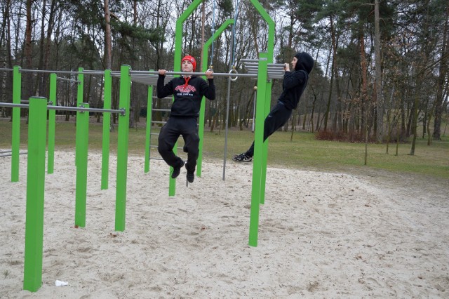 Skatepark powstanie w parku w sąsiedztwie siłowni terenowej i pod jego budowę nie zniknie żadne drzewo w parku.