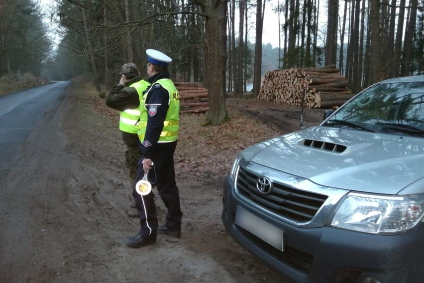 Wspólne patrole policji i straży leśnej w powiecie świeckim. Czy choinka nie była kradziona z lasu?
