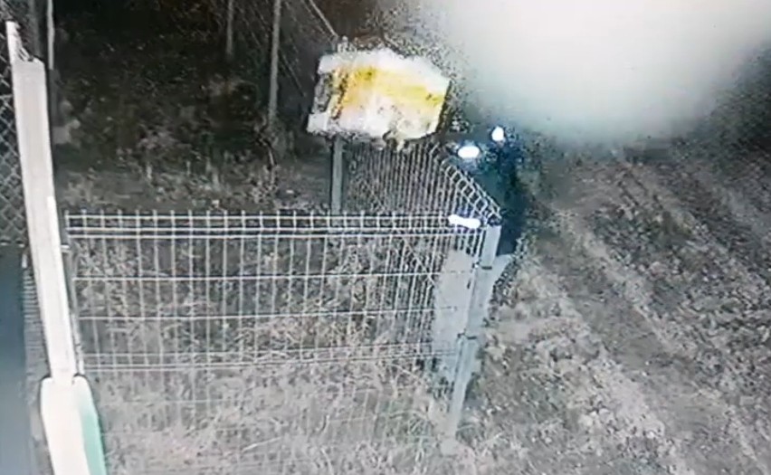 Ktoś podrzucił psy do schroniska w Tarnobrzegu. Wszystko nagrała kamera monitoringu (ZDJĘCIA, WIDEO)
