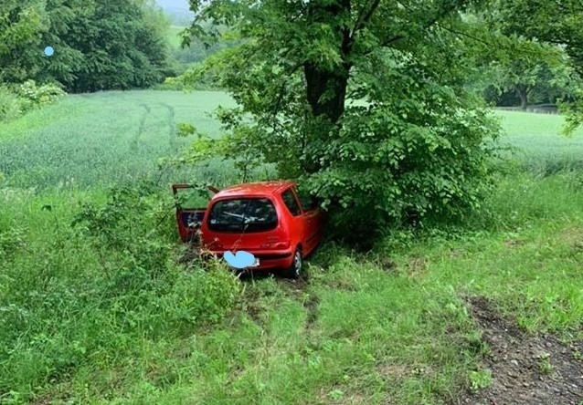 Auto uderzyło w przydrożne drzewo