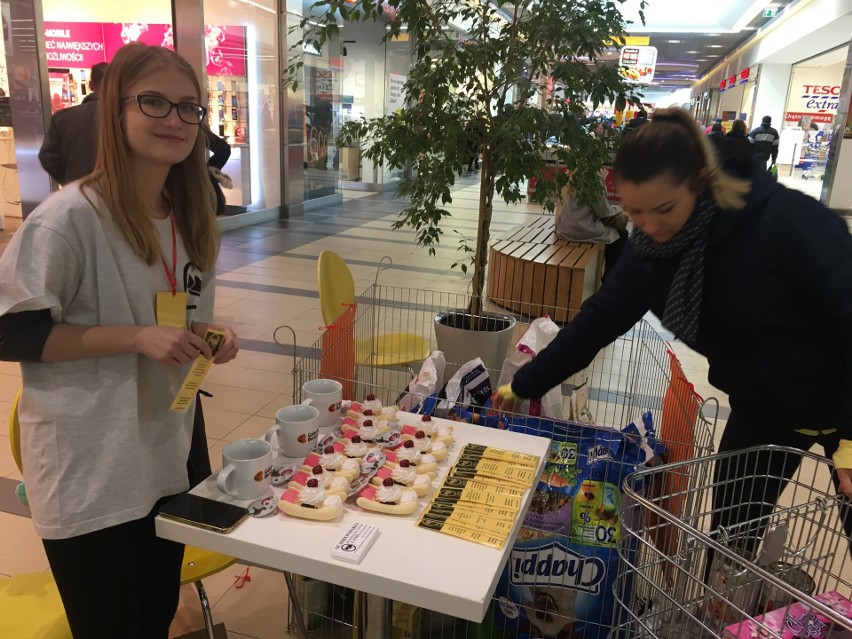 Ostrołęka. W Galerii Bursztynowej trwa zbiórka karmy dla czworonogów ze schroniska Canis w Kruszewie