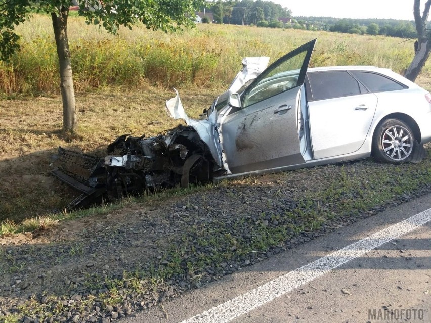 Wypadek na krajowej 45 w Jełowej. Zniszczone znaki i osobowe audi w rowie