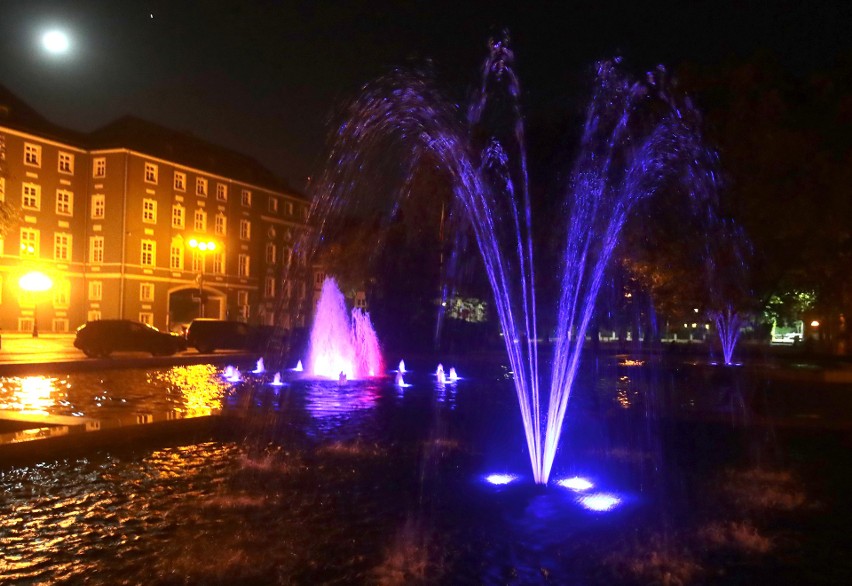 Podświetlona fontanna Bartłomiejka