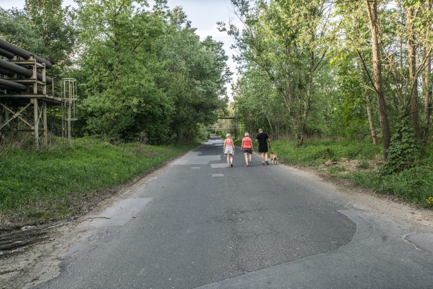 Ołów, rtęć, kadm. Ścieki z huty obok pól uprawnych. Pełno w nich paskudztwa