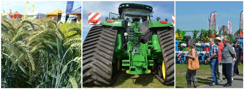 Targi Agro-Tech 2017 w Minikowie. Wybierz się na największą wystawę w regionie