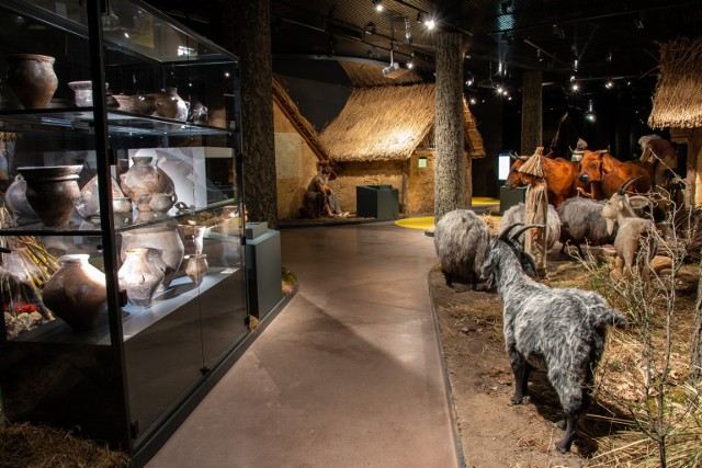6 i 7 października w Muzeum Archeologicznym i Rezerwacie Krzemionki odbędzie się kolejne wydarzenie wpisujące się w tegoroczne obchody stulecia odkrycia kopalń krzemienia pasiastego w Krzemionkach.