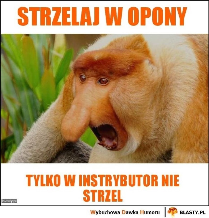 Nie strzel w... "instrybutor" MEMY. Zobacz, jak Internauci...