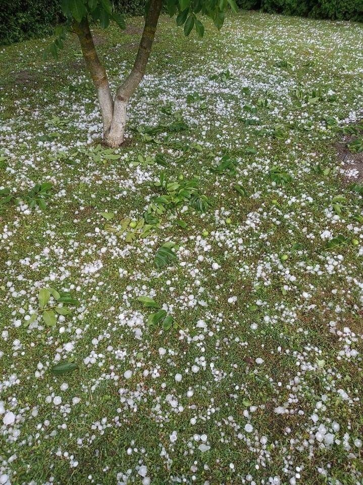 Grad w Drohojowie i Trójczycach koło Przemyśla.