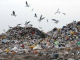 Podatek śmieciowy. W gminach powiatu białobrzeskiego będa zmiany