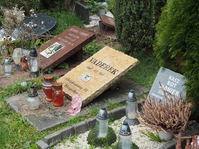 Cmentarz dla zwierząt znajduje się przy ul. Malowniczej w Łodzi
