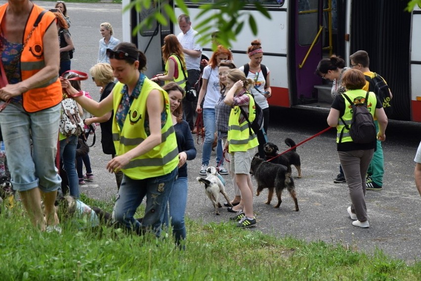 Psiechadzka to akcja częstochowskiego schroniska