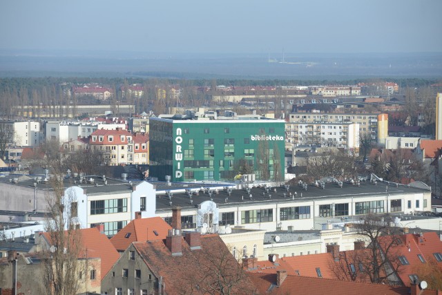 Biblioteka im. Norwida zaprasza na Dzień Kobiet. Co będzie się działo?