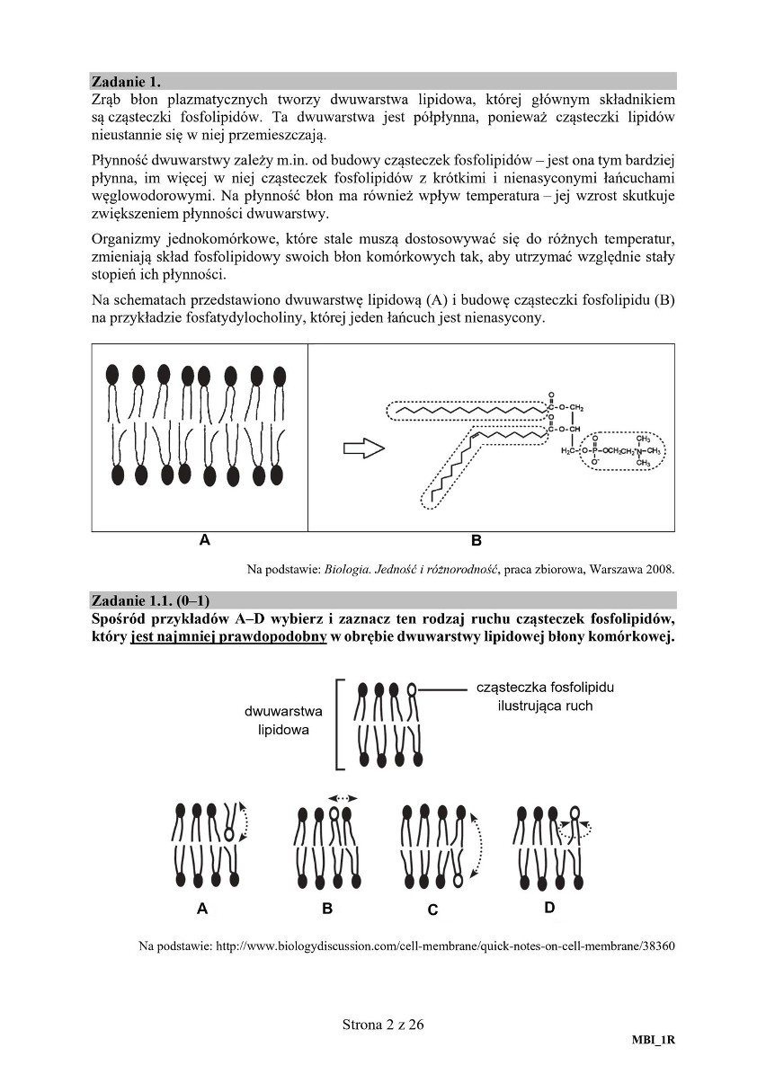 Matura biologia 2020 ARKUSZ CKE