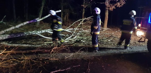 Przez cały poniedziałek, 4 marca, w Lubuskiem wiał silny wiatr. Momentami jego prędkość była bliska nawet 100 km/h. Strażacy odbierali wezwania do połamanych drzew, konarów i zerwanych linii energetycznych.Ostrzeżenie o wichurach w Lubuskiem IMGW wydało już w sobotę. Prognozy synoptyków sprawdziły się. Porywisty wiatr wiał w Lubuskiem w poniedziałek od rana. Miejscami towarzyszyły mu intensywne opady deszczu i burze. Strażacy z OSP Templewo zostali wezwani do usunięcia połamanego drzewa, które stwarzało zagrożenie na drodze wojewódzkiej nr 137. Zgłoszenie dotarło do strażaków w poniedziałek, po godzinie 16.Z kolei strażacy z OSP Kłodawa wyjechali do Wojcieszyc. Tutaj silny wiatr zerwał linie energetyczne. Wezwanie do strażaków wpłynęło po godzinie 18.  Ochotnicy z OSP Dąbie dostali wezwanie do drzewa, które pochyliło się na budynek w miejscowości Kosierz. Zgłoszenie strażacy dostali po godzinie 19. Z powalonym drzewem zmagali się też strażacy z OSP Gądków Wielki. Brzoza spadła na drogę wojewódzką nr 139 między miejscowościami Gądków Wielki-Mierczany.Prezydent Zielonej Góry Janusz Kubicki w poniedziałek wieczorem informował na facebooku o braku prądu w Zielonej Górze i okolicach. Problemy z energią elektryczną mieli mieszkańcy Raculki, os. Braniborskiego, os. Śląskiego i Pomorskiego. Ekipy naprawcze szybko uporały się z awarią.Pełne ręce roboty mieli również strażacy z OSP Deszczno. Najpierw zostali wysłani do usunięcia powalonego drzewa na na drodze w Płonicy. Następnie o godzinie 19.06 zostali wysłani do kolejnego powalonego drzewa, tym razem na drodze krajowej nr 22 w podgorzowskim Boleminie. Po usunięciu zagrożenia ochotnicy z Deszczna pojechali na kolejną akcję do Glinika. Tu ich działania polegały na uszczelnieniu dachu w budynku mieszkalnym. O godzinie 20.20 strażacy z Deszczna zakończyli działania i wrócili do swojej jednostki.W powiecie zielonogórskim lubuscy strażacy doliczyli się 13 zdarzeń związanych z silnym wiatrem. Przede wszystkim usuwali powalane drzewa. We wtorek rano wszystkie drogi były przejezdne. Ekipy Enei uporały się też z awariami linii energetycznych. Źródło: OSP Kłodawa / OSP Templewo / OSP Dąbie / OSP Gądków Wielki / OSP Deszczno