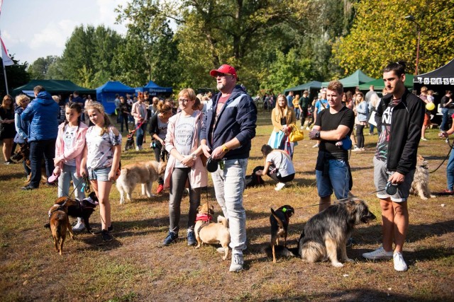 Coroczne pikniki w toruńskim schronisku to świetna zabawa i szansa na adopcję mieszkających tam zwierząt