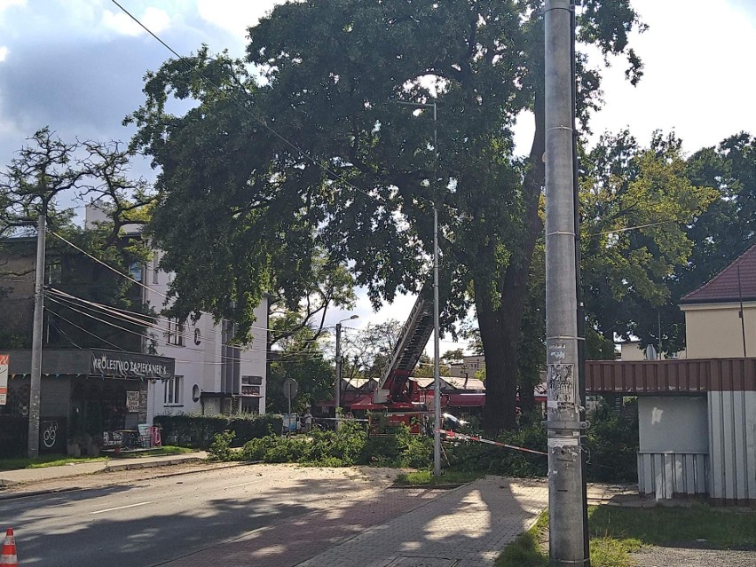 Katowiccy strażacy usuwają zagrażającą bezpieczeństwu...