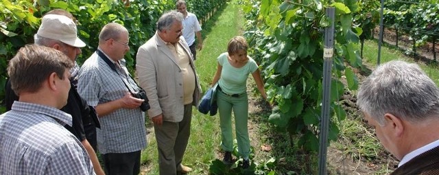 Marek Nowiński, właściciel winnicy "Dwie granice&#8221; koło Jasła (w środku w marynarce) jest przekonany, że zarobi na swoim winie, gdy tylko zmieni się polskie prawo.