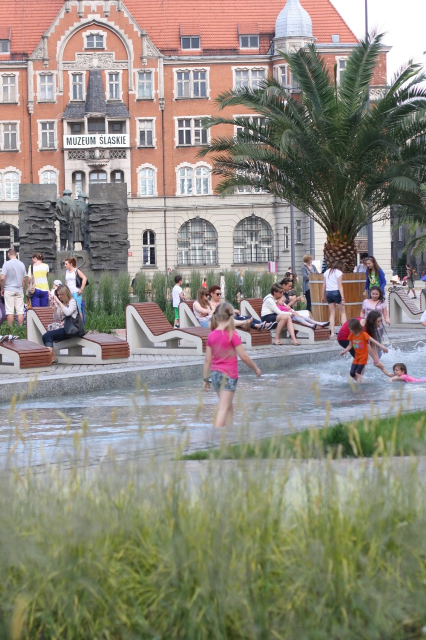 Palmy i leżaczki nad sztuczną Rawą przyciągają na Rynek w...