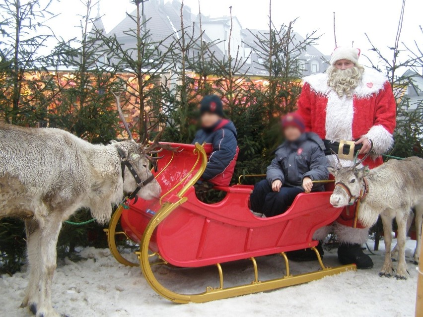 2010 rok, renifery zakopiańskiego biznesmena i św, Mikołaj...