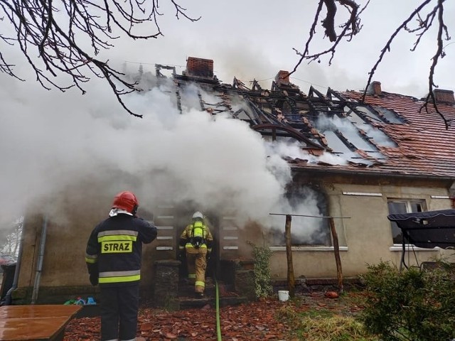 W jednym z domu w Smogórach (pow. słubicki) w piątkowe (17 grudnia) popołudnie doszło do dużego pożaru. Na szczęście nikomu nic się nie stało. - Mieszkańcy ewakuowali się jeszcze przed przyjazdem służb - powiedział nam mł. bryg. Michał Borowy, rzecznik prasowy PSP w Słubicach.Ogień pojawił się w jednym z pięciu lokali mieszkalnych znajdujących się w domu typu bliźniak. Następnie pożar przedostał się na poddasze budynku. - Wciąż trwają prace rozbiórkowe i dogaszanie ognia - mówił nam po godz. 13.00 mł. bryg. M. Borowy.Rzecznik PSP Słubice w rozmowie z nami przyznał, że gdy strażacy przyjechali na miejsce, pożar był już rozwinięty. Z ogniem walczyło łącznie dziewięć zastępów strażaków. Byli to strażacy m.in. ze Słubic i Sulęcina oraz zastępy OSP.Na ten moment nie można mówić o przyczynie pożaru. Wiadomo natomiast, że mieszkańcy tych pięciu lokali, na razie, nie będą mogli powrócić do domu.Przeczytaj też:Pożar w kamienicy w Nowej Soli. Nie żyją dwie osoby