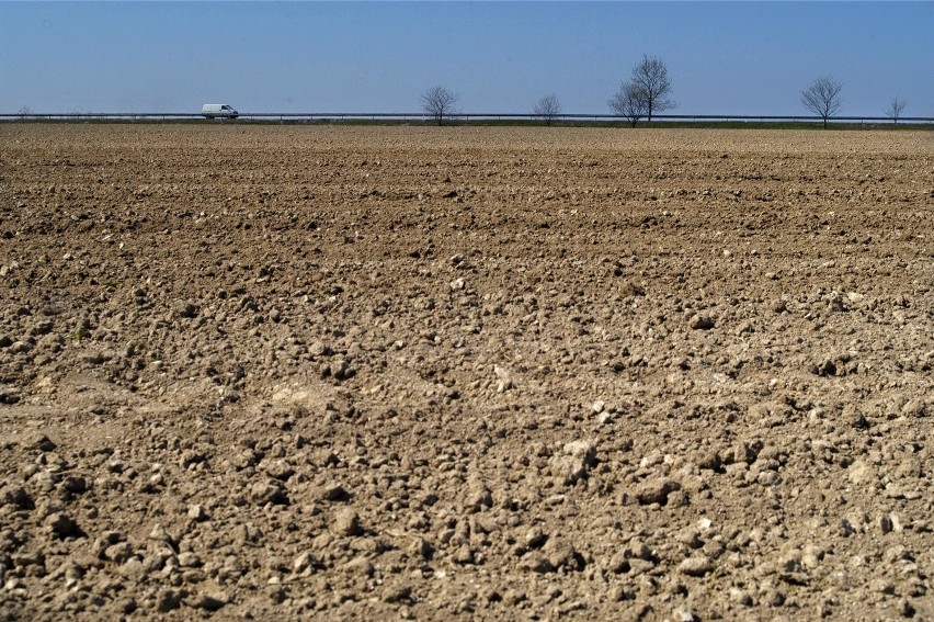 Ceny gruntów rolnych na Dolnym Śląsku ciągle rosną. Trudno jest na nich stracić