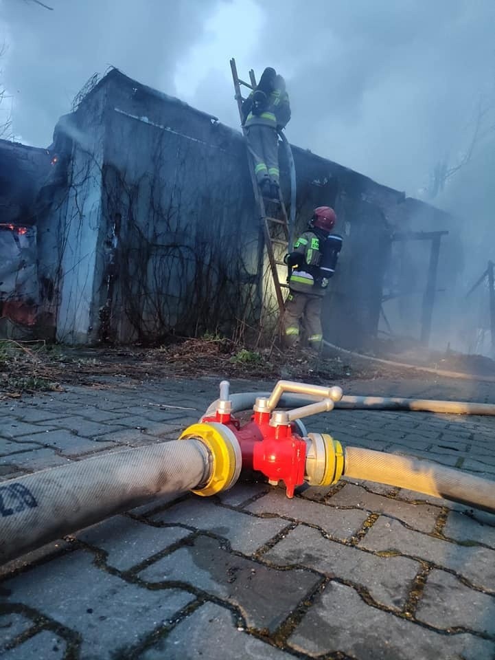 Choć pożar przy ul. Szosa Chełmińska w Toruniu wyglądał...