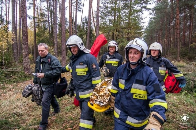 Prawie 60 strażaków zawodowych i ochotników ćwiczyło w lasach w okolicy Kup ratowanie ofiar wichur.