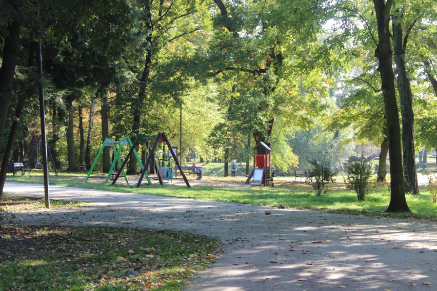 Park Kachla w Bytomiu zachwyca jesienną porą. Zobacz kolejne...