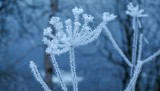 Prognoza pogody na środę w województwie podlaskim 17.01.2018. Czy tym razem spadnie śnieg? (wideo)