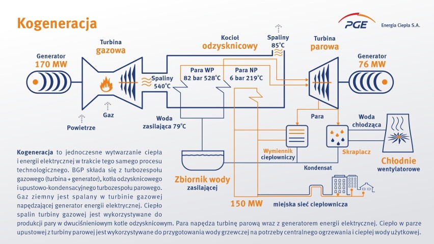 Infografika 1