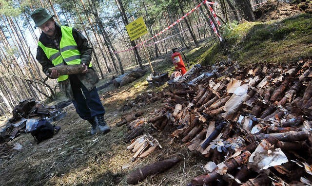 Saperzy oczyścili już z niewybuchów lasy na Osowej Górze (na zdjęciu). Teraz będą pracować w podbydgoskiej Brzozie