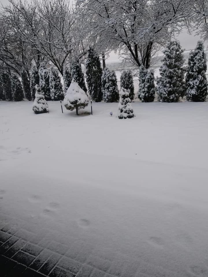 Pierwszy w sezonie śnieg na Lubelszczyźnie. W regionie zrobiło się biało. Zobacz zdjęcia Czytelników