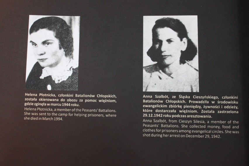Jastrzębie-Zdrój: Wystawa o kobietach w Auschwitz [ZDJĘCIA]