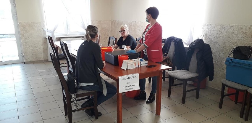 Kapitalni Krwiodawcy oddali 19 litrów krwi! Wspaniała akcja w Mąchocicach Kapitulnych, w gminie Masłów
