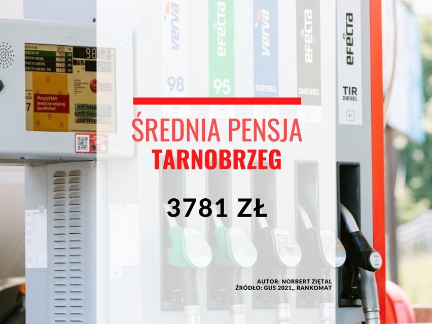 Średnia pensja w Tarnobrzegu: 3781 złotych.