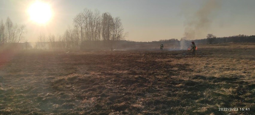 Lubelskie. Kolejny pożar na terenie Parczewa. Spłonęło ok. 3 ha łąk i 2 ha lasu